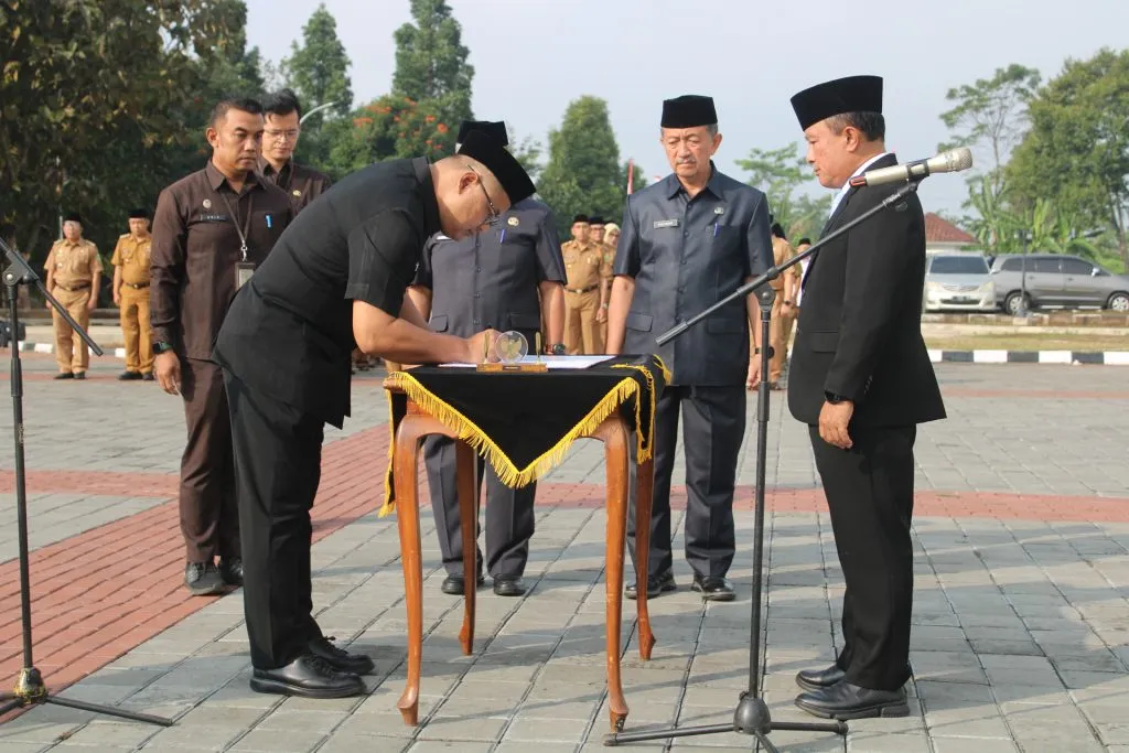 Img 9785 1024x683 1