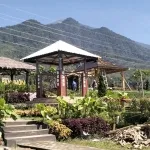 Img20250904095818