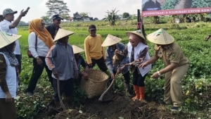 Bunda Ketapang Hj.ela Helayati S.sos
