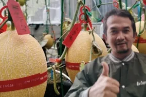 Deny Sudistriadi S.mb Dir.bumdes Mustikajaya