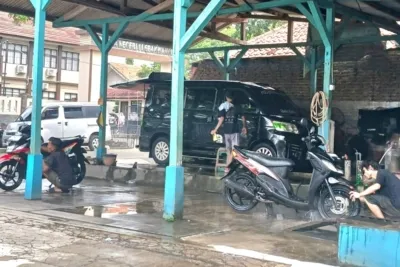 Steam Alsyfa Cinagara