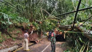 Anggota Babinsa Saat Bantu Evakuasi Pohon