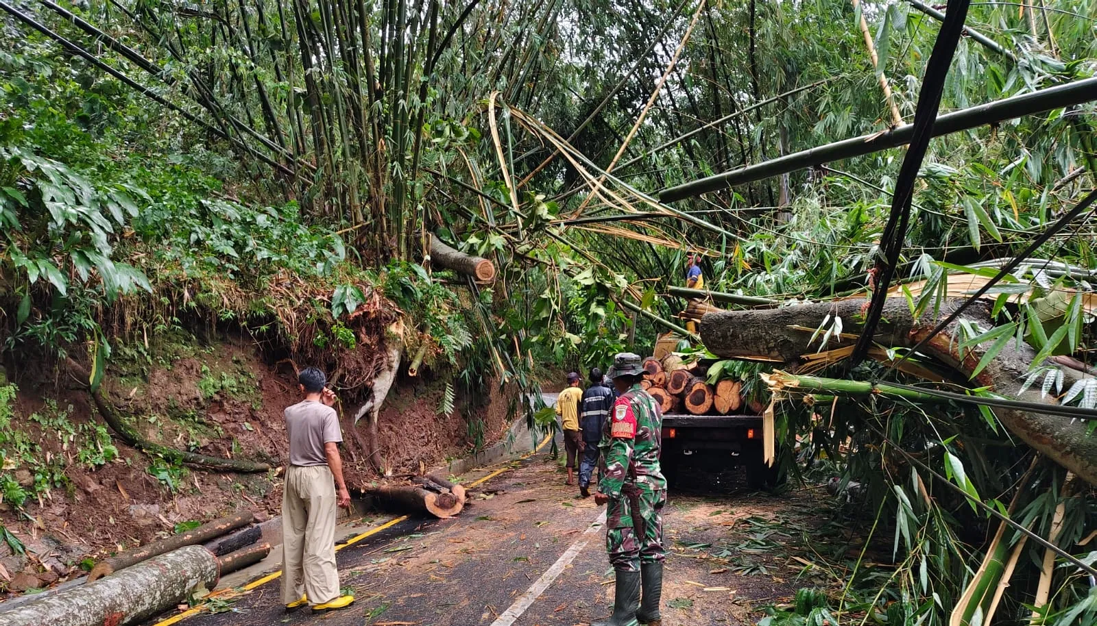 Anggota Babinsa Saat Bantu Evakuasi Pohon