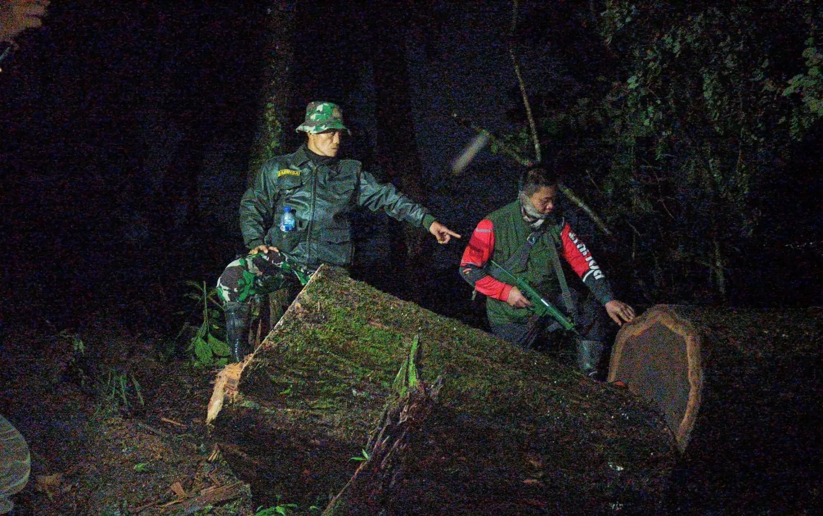 Saat Pengecekan Kayu