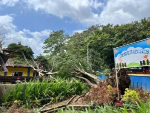 Sdn 1 Maniskidul Jalaksana