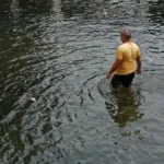 Ikan Dewa Cibulan Nyaris Atak Terlihat