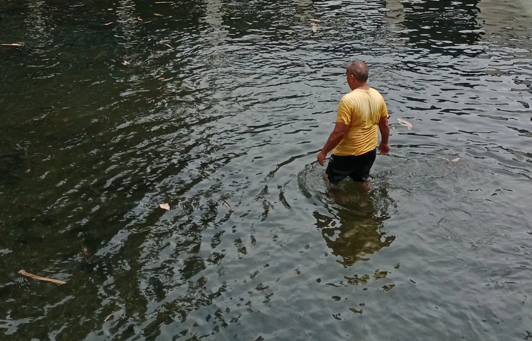 Ikan Dewa Cibulan Nyaris Atak Terlihat