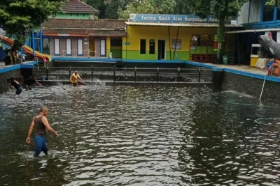 Kolam Ikan Saat Dikuras