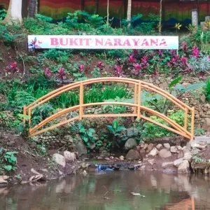 Bukit Narayan