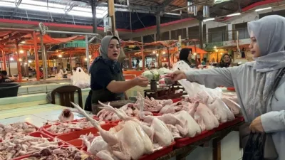 Pedagang Daging Ayam Pasar Baru