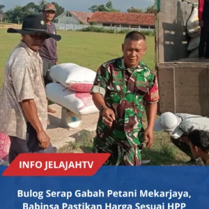 Babinsa Ciawigebang Saat Mendampingi Petani