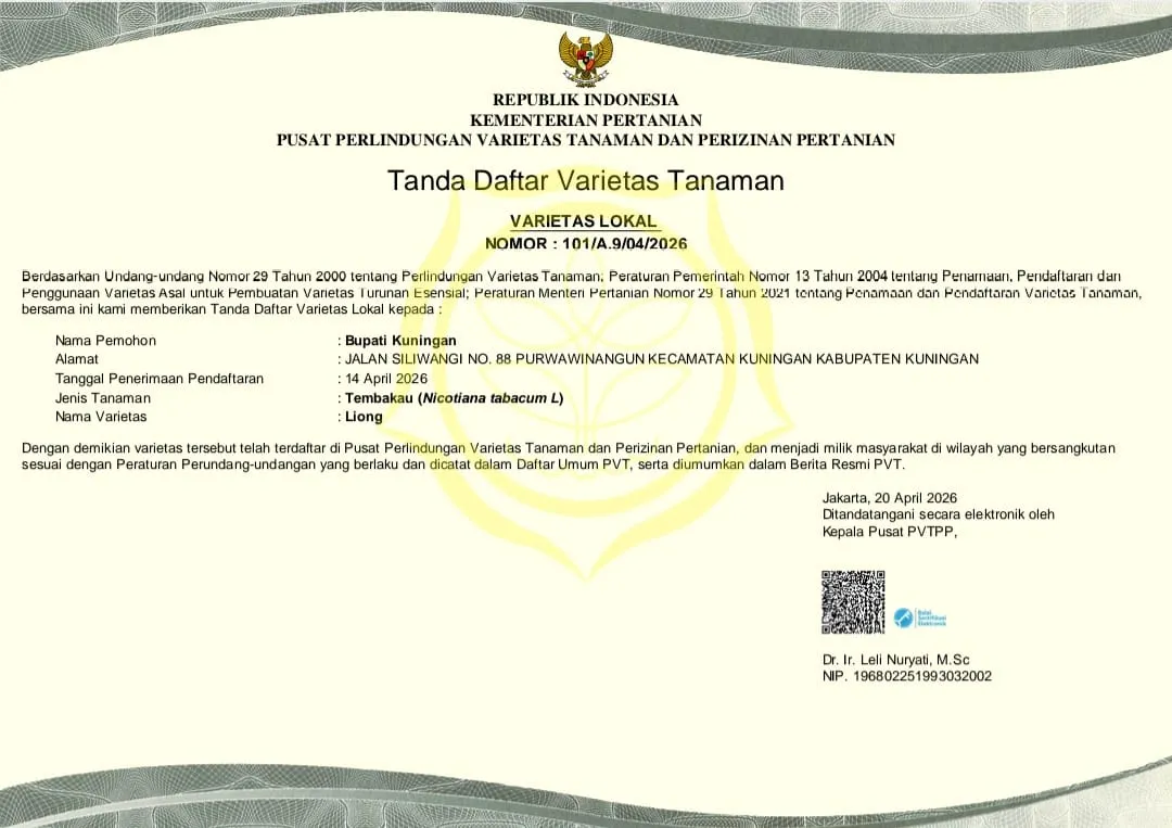 Sertifikat Tembakau Dari Bupati