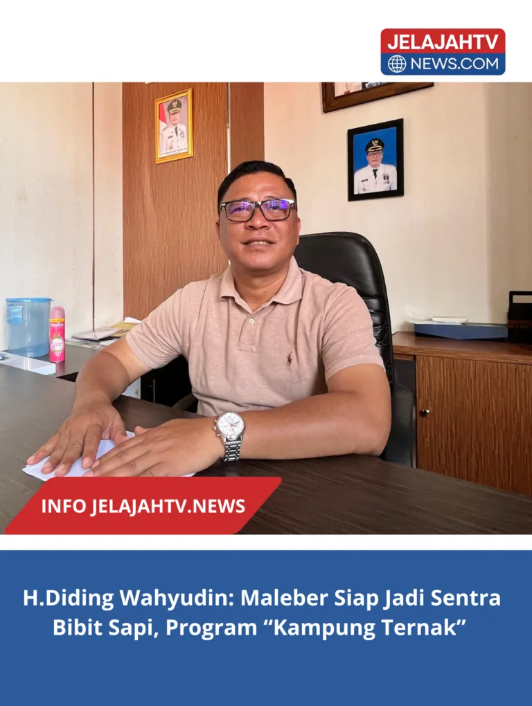 H.Diding Wahyudin: Maleber Siap Jadi Sentra Bibit Sapi, Program “Kampung Ternak”
