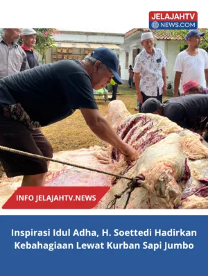 Inspirasi Idul Adha, H. Soettedi Hadirkan Kebahagiaan Lewat Kurban Sapi Jumbo