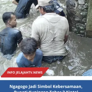 Ngagogo Jadi Simbol Kebersamaan, Bupati Kuningan Tebar 2 Kintal  Ikan Dimilangkala Desa Susukan