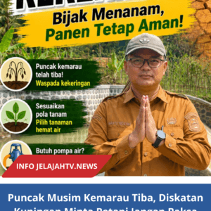 Puncak Musim Kemarau Tiba, Diskatan Kuningan Minta Petani Jangan Paksa Tanam Padi Jika Air Tak Mencukupi