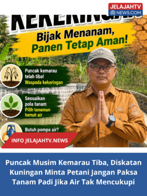 Puncak Musim Kemarau Tiba, Diskatan Kuningan Minta Petani Jangan Paksa Tanam Padi Jika Air Tak Mencukupi