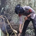 Kapolres Kuningan Tinjau Pemadaman Karhutla di TNGC